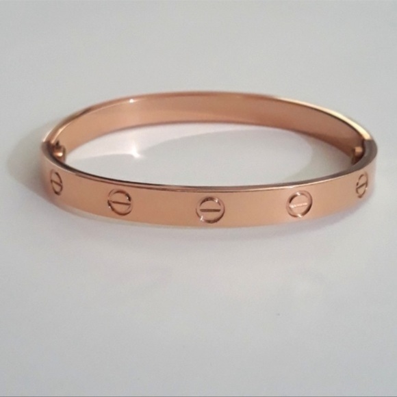 Rose Gold Stainless Steel Screw Cuff Bangle LOVE Bracelet with Screwdriver - Picture 3 of 8